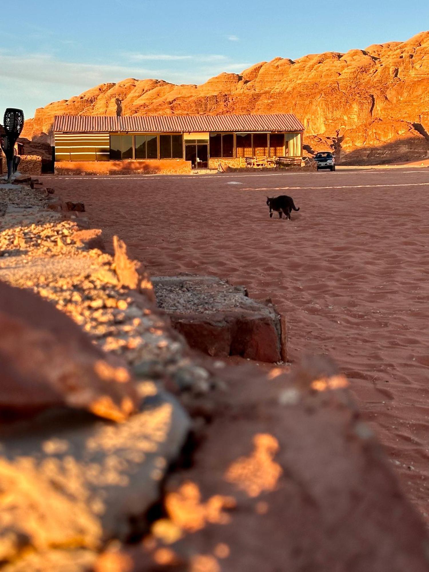 Salameh'S Bedouin Camp Hotel วาดิรัม ภายนอก รูปภาพ